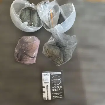 헤라클레스 장수풍뎅이 생물대도감 어드밴스