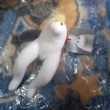 kasumi oomine 마니 노미보이