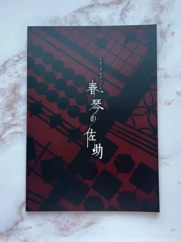 이쿠니 프로듀스 슌킨의 사스케 팜플렛