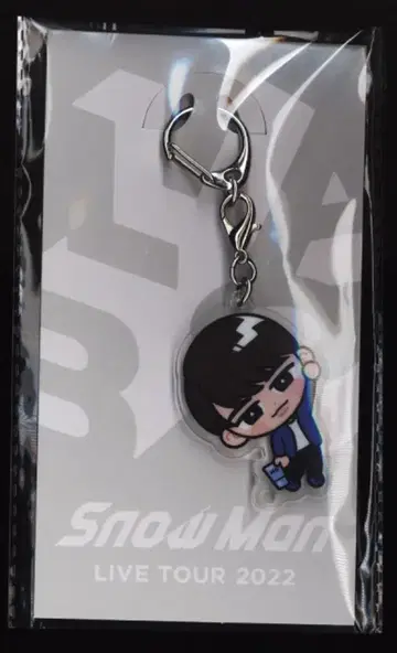 SnowMan 22년 Labo. 와타나베 쇼타 아크릴 키링