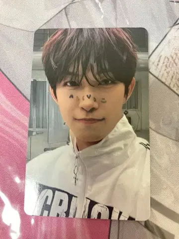 ald1 고누 musicplant 덤 선택 가능