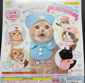 [ 미개봉 컴프 ] 고양이 변신 코스튬 간호사 냥코 전 6종 세트 에일