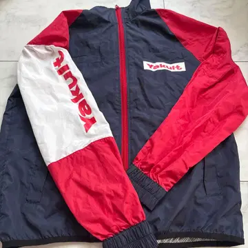 야쿠르트 윈드 브레이커