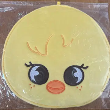 Stray Kids 부채 케이스