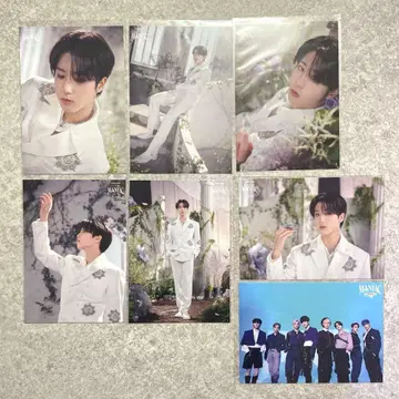 stray kids 한 랜트레