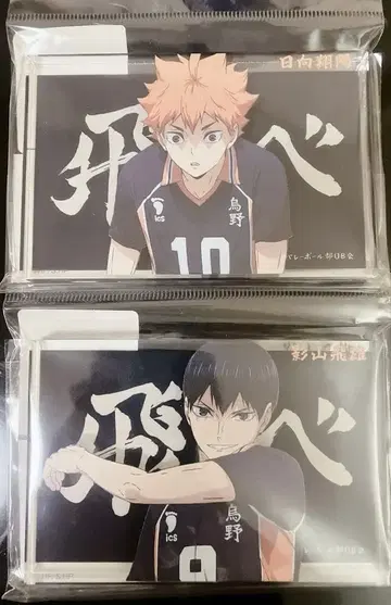 하이큐 아크릴 블록 히나타 카게야마 베이스야드