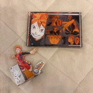 하이큐 히나타 쇼요 벌스데이 굿즈 2024