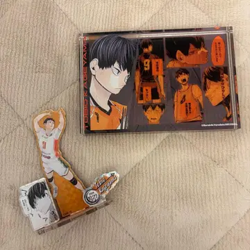 하이큐 카게야마 토비오 벌스데이 굿즈 2024