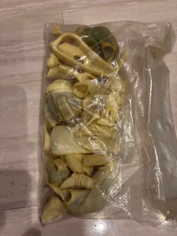 라이넥 레진 키트 2