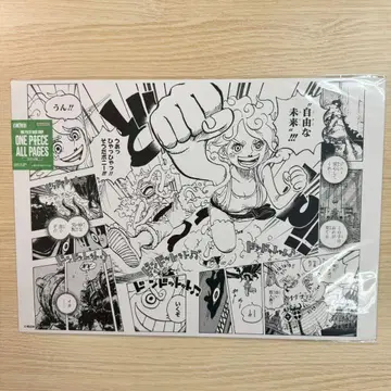 원피스 ALL PAGES B4 에그헤드 편 보니 니카