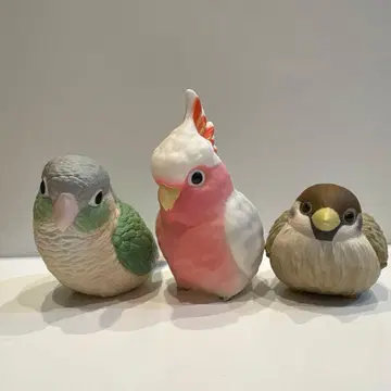 테노리 프렌즈 새 6종 참새 쿠루마사카 앵무새 흰올빼미 슈빌 외