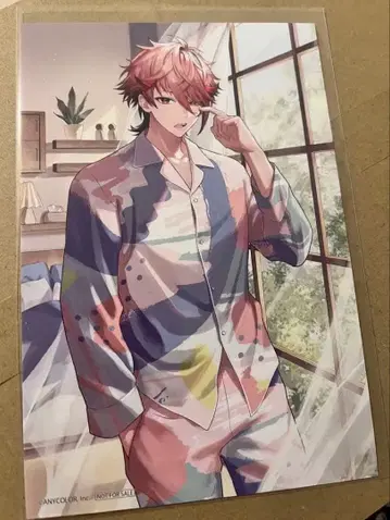 kisocare 세라프 다즐 가든 혜택 엽서