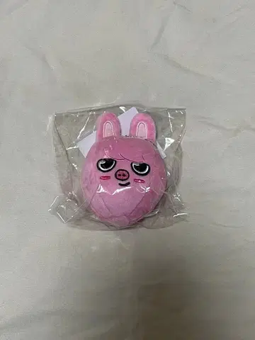 straykids 창빈 DWAEKKI 백참 열기구