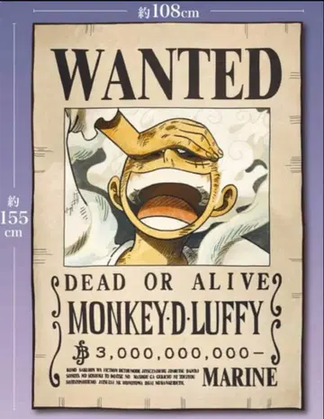 원피스 ONE PIECE 몽키 D 루피 수배서 담요 니카