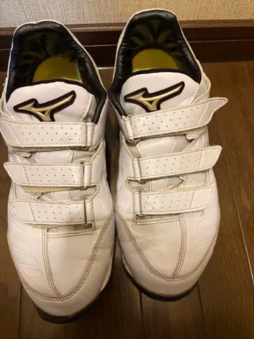 미즈노 글로버리 엘리트 트레이닝 슈즈