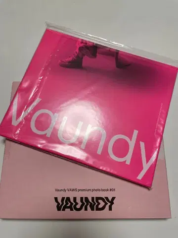 VAUNDY VAWS premium photo book #01