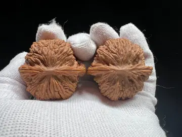 문완당: 문센 승덕밀문 목전사자두호두 (무수정)