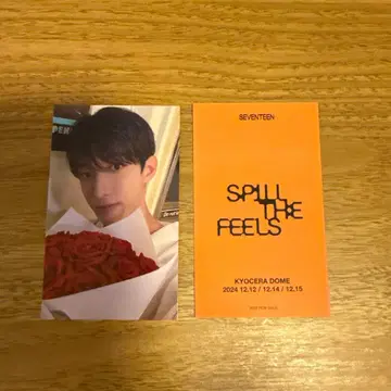 SEVENTEEN 도겸 회장 한정판 나고야