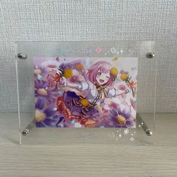 프로세카 벌스데이 사진 프레임 호우 에무