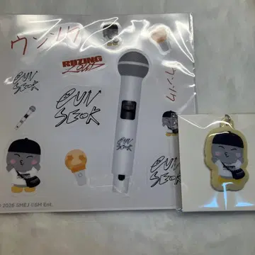 RIIZE 은석 도쿄돔 랜덤 토이