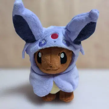 포켓몬 센터 이브이 판초 에브이