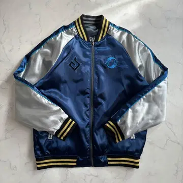 오버워치 게임 리버서블 스카잔