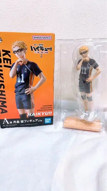 하이큐 츠키시마 케이 피규어 캔뱃지