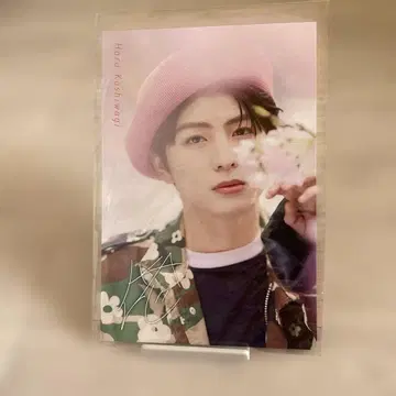 초특급 카시와기 하루 잡지 예약 특전 엽서