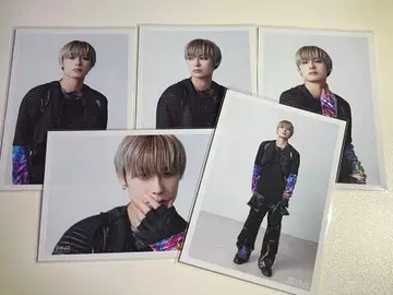 초특급 알로하 B9 브로마이드 세트