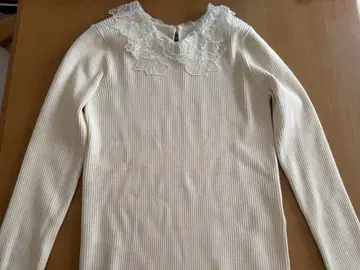 JILL by JILL STUART 레이스 옷깃 컴팩트 리브 니트