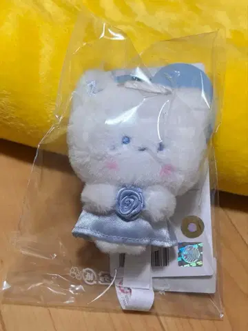 가격 인하 중 ZB1 하니니 zeroni 장하오 ZEROBASEONE