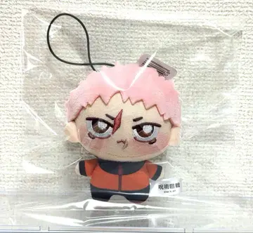 주술회전 쵸피누이 푸치 이타도리 유지