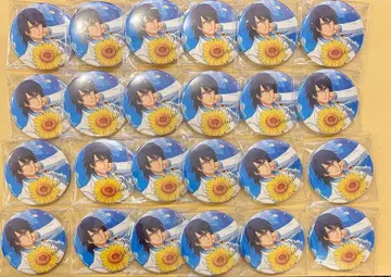 서머 발레 캔뱃지 오시타리 유시 24점