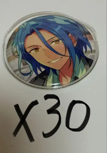 앙상블 스타즈 앙스타 HiMERU 피처 캔뱃지 30개