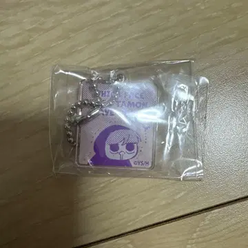 타몬군 지금 어느 쪽!? 아크릴 키체인