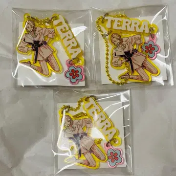 카리스마 온라인 복권 카리스마 건보 키링 테라