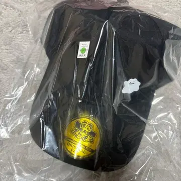 포코아 포켓몬 한정판 캡