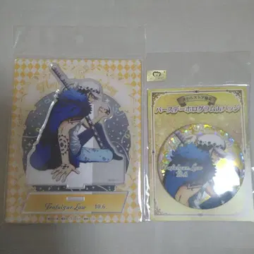 원피스 벌스데이 로