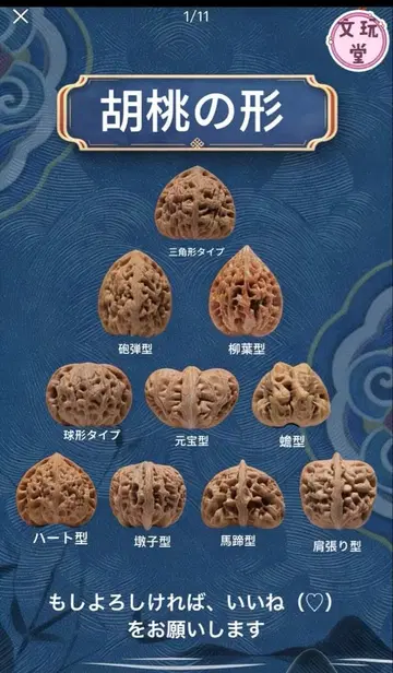 문완 호두의 특징 알아보기: 10가지 종류의 수형과 대표 품종