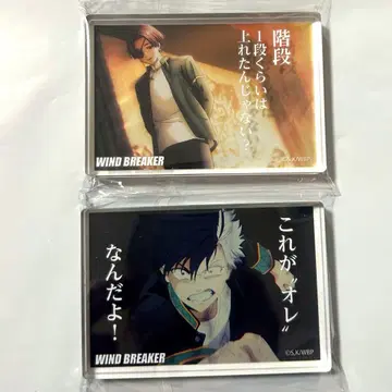 다이소 윈드브레이커 아크릴 블록 소방준비 벚꽃하루