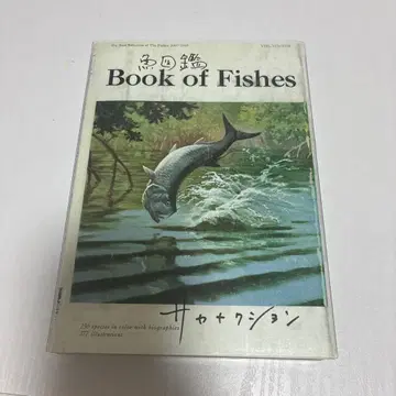 사카낙션 어 도감 (DVD 포함 초회 생산 한정판)