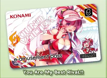 SDVX 사운드 볼텍스 e-amusement pass 레이시스