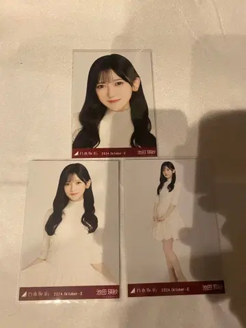 노기자카46 브로마이드 벌룬 스커트 컴프 이케다 에이사