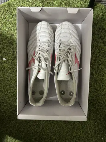 미즈노 모나르시다 SG 천연 잔디용