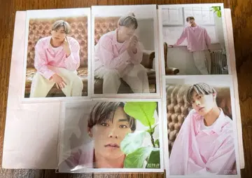 초특급 알로하 브로마이드