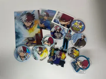 나의 히어로 아카데미아 토도로키 쇼토