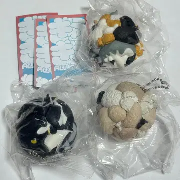 팬더의 구멍 꽉꽉 3종 세미 컴프 세트