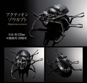 생물대도감 액티온 코끼리장수풍뎅이 온라인판