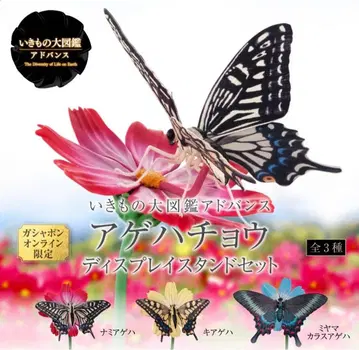 생물대도감 호랑나비 온라인판 3종 세트