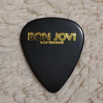 BON JOVI 투어 피크